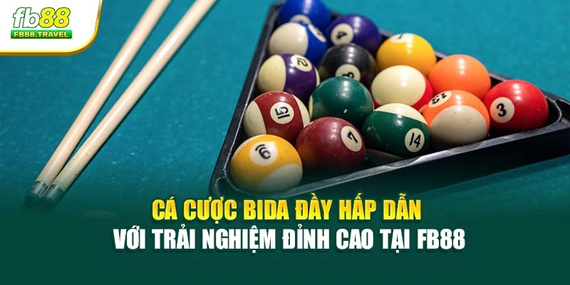Cá Cược Bida Đầy Hấp Dẫn Với Trải Nghiệm Đỉnh Cao Tại Fb88