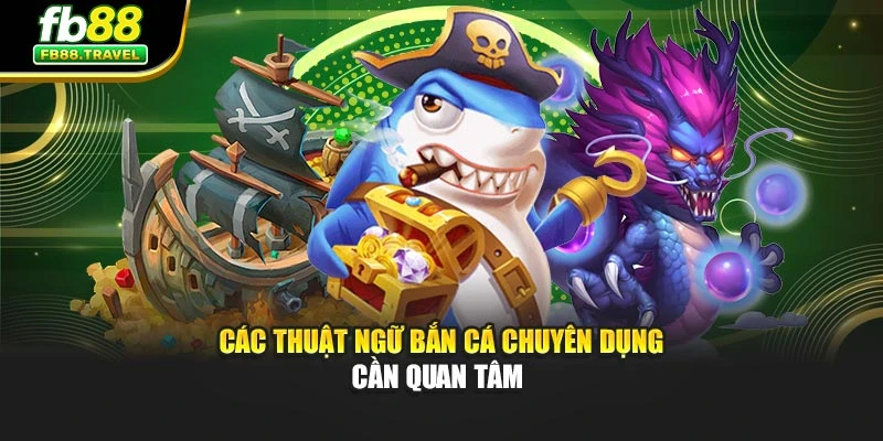 Các thuật ngữ bắn cá chuyên dụng cần quan tâm