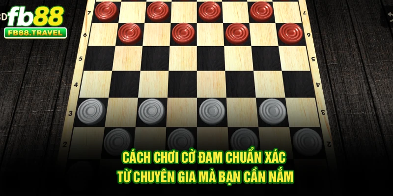 Cách chơi Cờ Đam chuẩn xác từ chuyên gia mà bạn cần nắm