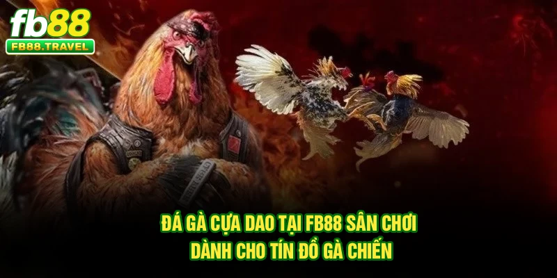 Đá Gà Cựa Dao Tại FB88 – Sân Chơi Dành Cho Tín Đồ Gà Chiến
