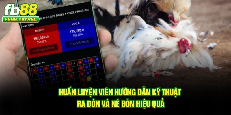 Huấn luyện viên hướng dẫn kỹ thuật ra đòn và né đòn hiệu quả