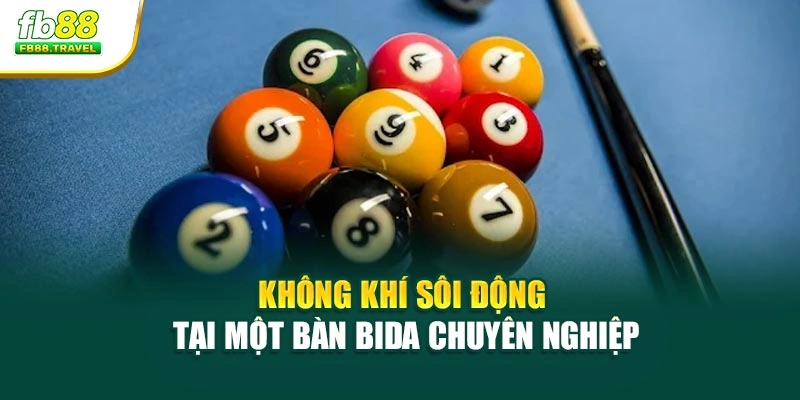 Không khí sôi động tại một bàn bida chuyên nghiệp