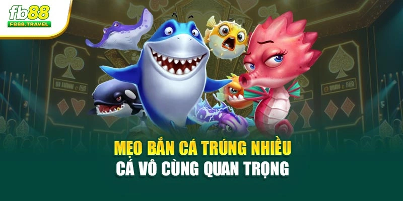 Mẹo bắn cá trúng nhiều cá vô cùng quan trọng