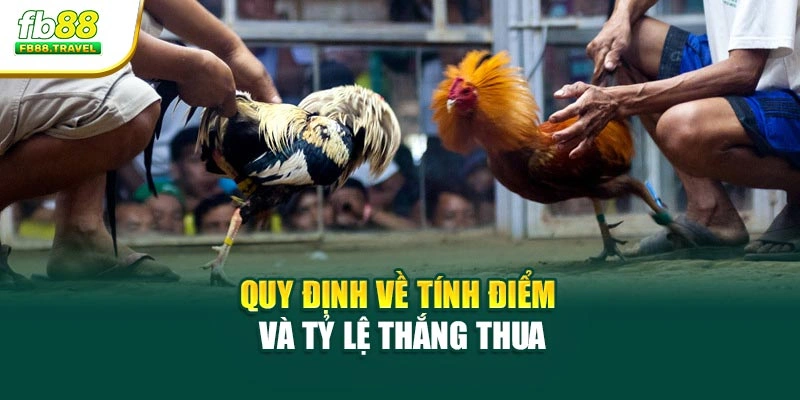 Quy định về tính điểm và tỷ lệ thắng thua
