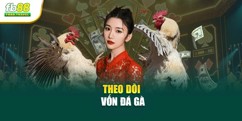 Theo dõi vốn đá gà