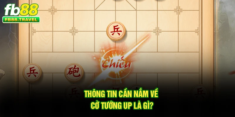 Thông tin cần nắm về Cờ Tướng Up chơi ra sao?