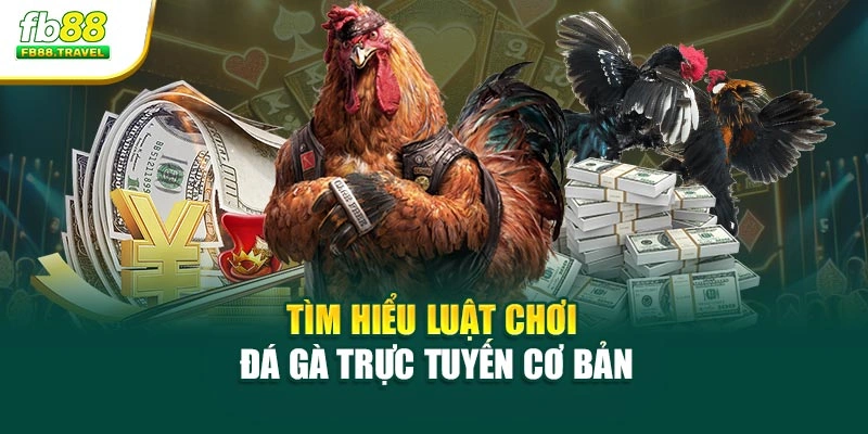 Tìm hiểu luật chơi đá gà trực tuyến cơ bản