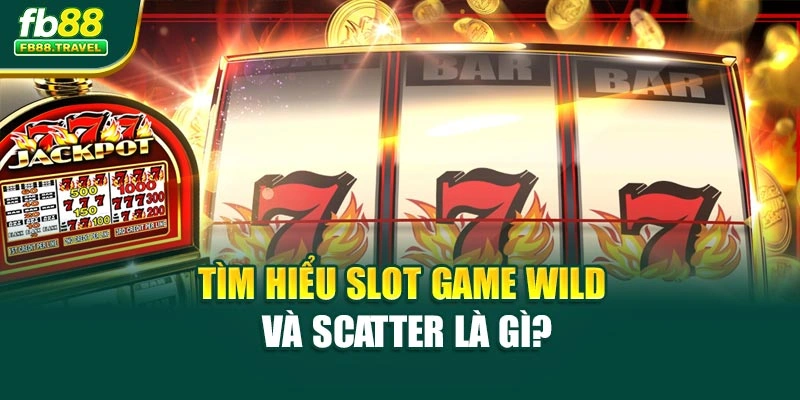 Tìm hiểu slot game wild và scatter là gì?