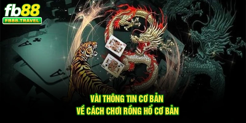 Vài thông tin cơ bản về cách chơi rồng hổ cơ bản